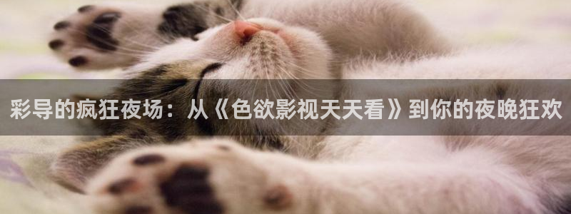 金桔影視：彩導的瘋狂夜場：從《色欲影視天天看》到你的夜晚狂歡