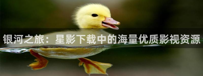 金桔影視哪里下載：銀河之旅：星影下載中的海量優質影視資源